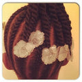S&D Clear Sweet Pea GaBBY Bows (1)